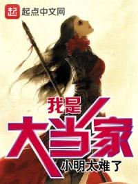 我是大当家